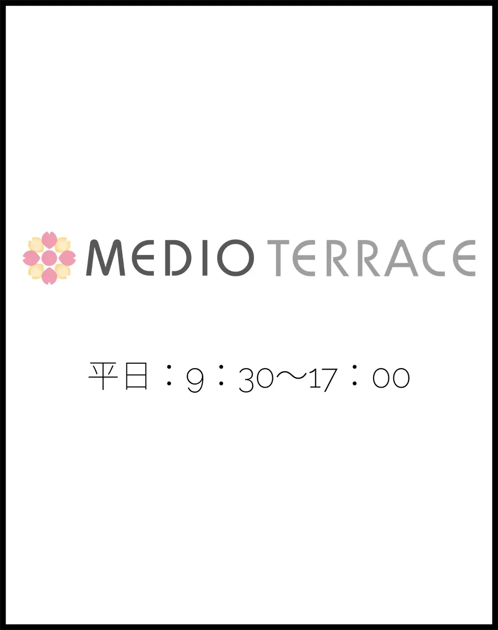 MEDIO TERRACE